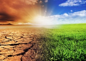 Conferencia Internacional por el Cambio Climático