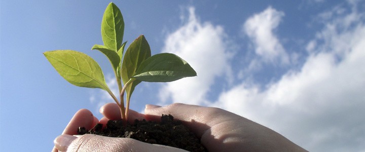 Día Mundial del Medio Ambiente 5 de junio