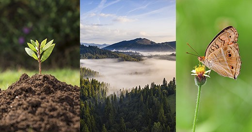 ¡Hidronor te invita conmemorar el Día Mundial del Medio Ambiente!