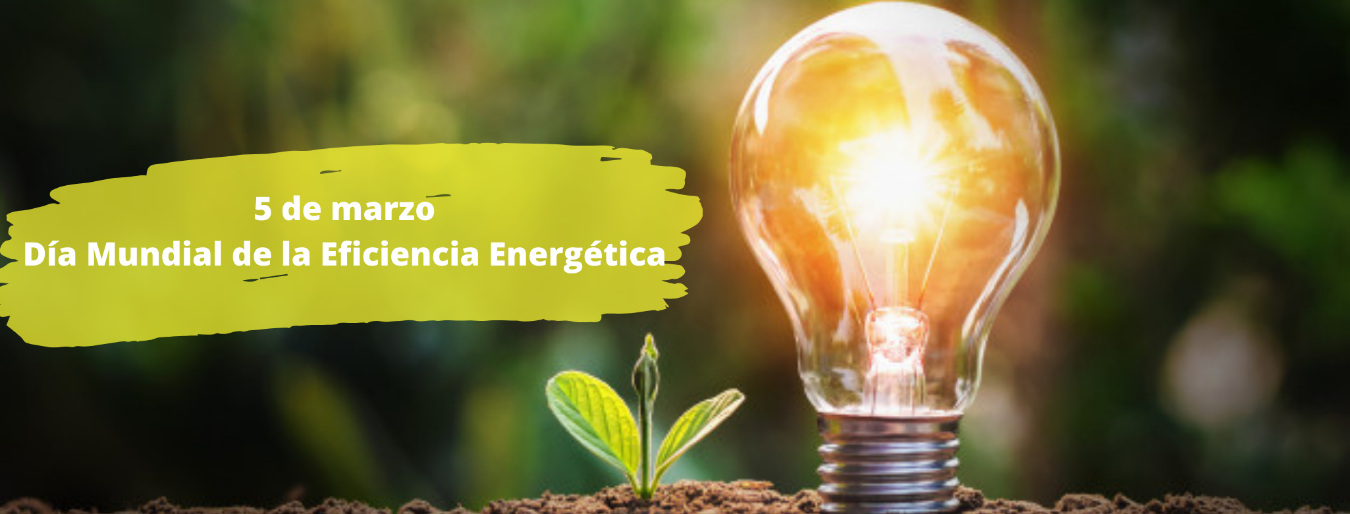 5 de marzo: Día Mundial de la Eficiencia Energética 5 de marzo: Día Mundial de la Eficiencia Energética