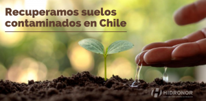Hidronor combate el cambio climático recuperando los suelos contaminados en Chile
