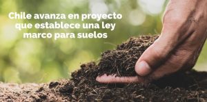 Chile avanza en proyecto que establece una ley marco para suelos