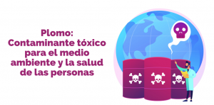 Plomo contaminante toxico para el medio ambiente y la salud de las personas