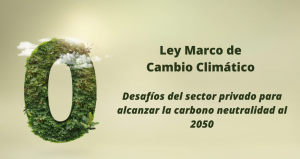Ley Marco de Cambio Climatico impone grandes desafios al sector privado para alcanzar la carbono neutralidad al 2050