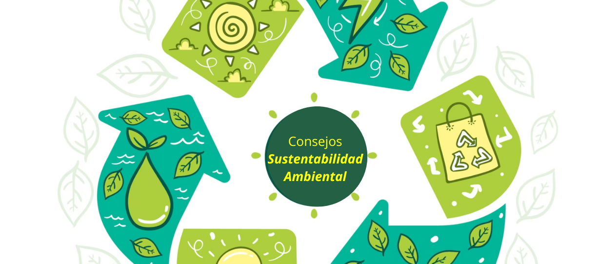 Consejos aporte a la sustentabilidad ambiental